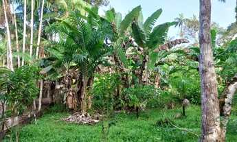 Imagem 3: Sitio rural 300x500m