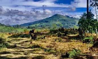 Imagem 1: Lote/Terreno para venda possui 1000 metros quadrados em Centro - Mairiporã - SP