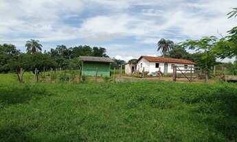 Imagem 2: Saida Pirapora...Fazendinha 15 Alqueires 700.000.00