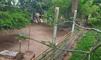 Imagem 6: VENDO SITIO EM ITAGUAI, NA RUA DO JONOSSAKI, 7.500 M2