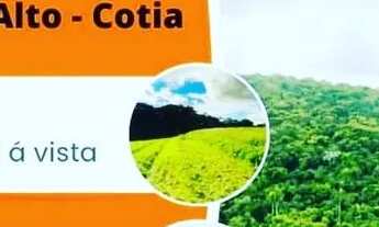 Imagem 5: Lote/Terreno para venda possui 600 metros quadrados em Santa Maria - Osasco - SP