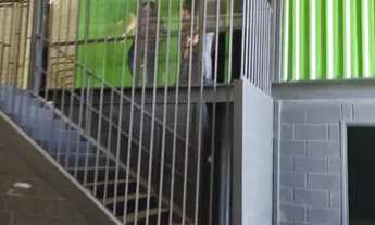 Imagem 2: ALUGO GALPAO DE 1200M2 COM HABITE-SE NO JAPIIM