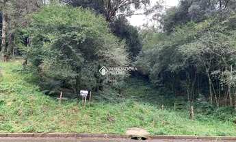 Imagem 3: CANELA - Terreno Padrão - Santa Teresinha