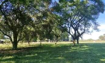 Imagem 4: Velleda oferece bonito sítio, 12 hectares, na Águas Claras