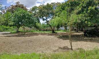 Imagem 4: Chácara Top Chácara com venda por R$250.000