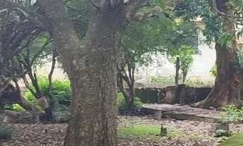 Imagem 6: Fazenda em Aragoiania