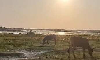 Imagem 4: Casa em Santo Amaro