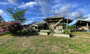 Imagem 6: Fazenda/Sítio/Chácara na AM010 KM 20 para venda tem 250000 m2 em Zona Rural - Rio Preto da