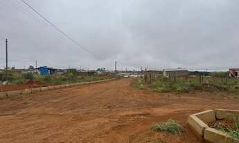 Imagem 3: Lote cana do reino