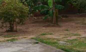 Imagem 2: Terreno Tipo Chácara com Casa e Pomar