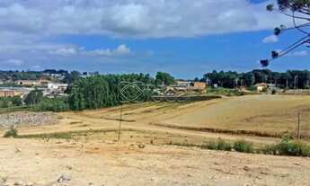 Imagem 4: EXCELENTE TERRENO INDUSTRIAL EM ANA RECH- CAXIAS DO SUL