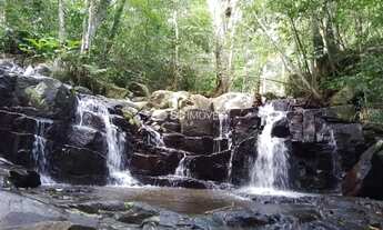 Imagem: Terrenos à venda no bairro Vargem Grande