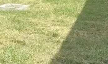 Imagem 3: Terreno a Venda Mooca