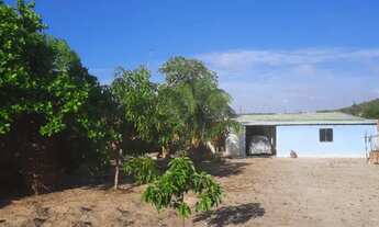 Imagem: Vendo uma casa tipo chácara em Leandrinho