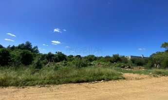 Imagem 3: Terrenos à venda - oportunidade imperdível!