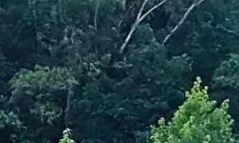 Imagem 6: Sitio - Bairro Linha 28