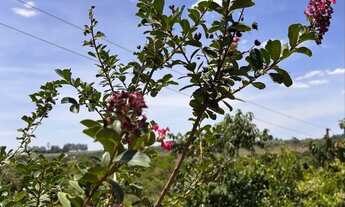 Imagem 6: Lote de Chácara 2.000 m² em Condomínio Fechado