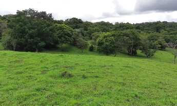 Imagem 4: Chacara de 2,19 alqueires em Terezopolis de Goias