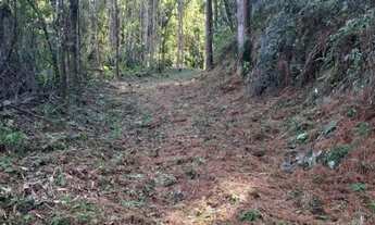 Imagem 3: Terreno Amplo 6,9 Hectares - Gramado RS - Excelente Localização