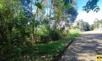 Imagem 3: Terreno para Venda em Nova Petrópolis, Juriti