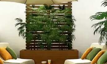 Imagem 3: Apartamentos Prontos com 2 Quartos e 2 Suítes em Tamandaré