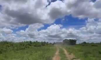 Imagem 4: VENDO FAZENDA PANTANAL POCONÉ 4.263 HAC