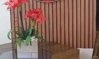 Imagem: Alugo mobiliado