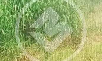 Imagem 2: Ágio de Lote no Setor Lago Sul Oportunidade! Lote de 300 m² muito bem localizado no Setor