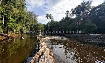 Imagem 7: 91 hectares, com corredeira!