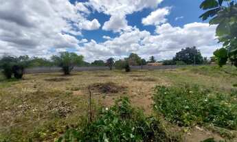 Imagem 2: Vendo terreno 1500 MT quadrado (passa de meia tarefa