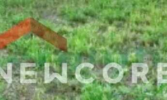 Imagem 2: Lote em Santa Cruz da Conceição - Centro - Santa Cruz da Conceição/SP