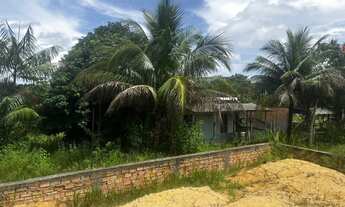 Imagem 2: Vende-se terreno em Rio Preto da Eva