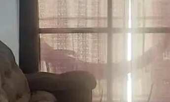 Imagem: Aluga-se Apartamento 85m² com 3 dormitórios