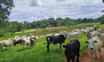 Imagem 7: Fazenda com 91 hectares banhando pelo rio Cuiabá no Município da cidade de Acori