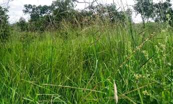 Imagem 2: Fazenda 203 Hectares/13 Divisões Pastagem/Opção Plantio Frutas,4 poços Artesiano.