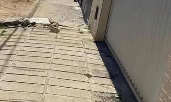 Imagem 2: Apartamento/Cruz das Almas