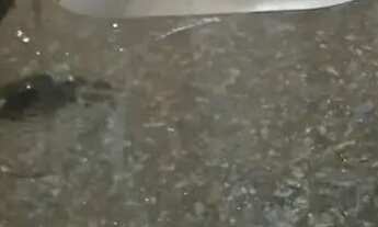 Imagem 6: Apartamento na região central de Guarulhos - SP