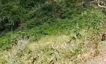 Imagem 5: Terreno a venda Cabangu..