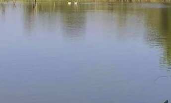 Imagem 7: Lote em condomínio em Alameda Alemanha - Granja Viana - Carapicuíba/SP