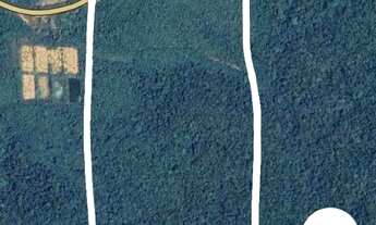 Imagem 2: Terreno de 984.900m² na Rodovia AM 010 KM 148 - Itacoatiara