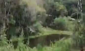 Imagem 2: Área Rural para formação de chácara