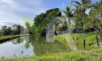 Imagem 3: OPORTUNIDADE Fazenda 37 alqueires em Corumbaíba Go