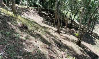 Imagem 5: Lote à Venda no Centro de Santo Antônio do Pinhal com Mata Nativa e Localização Privilegia