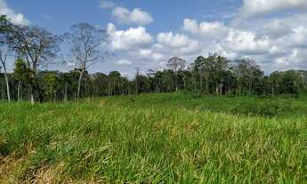 Imagem 2: Vendo colônia em Sena Madureira