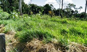 Imagem 4: Vendo colônia em Sena Madureira