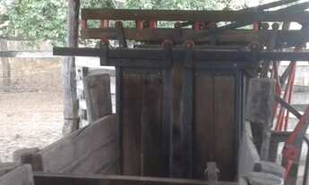 Imagem 6: Fazenda em Almas-TO. 28 mil por alqueire