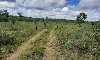 Imagem 5: FAZENDA PARA PECUÁRIA E LAVOURA