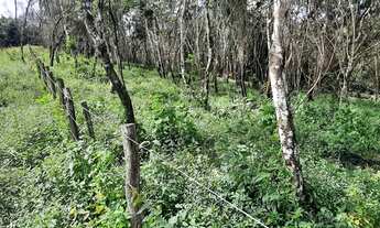 Imagem 4: LOTES ENTRE MULUNGU E GUARAMIRANGA