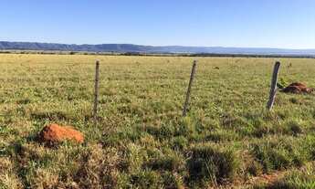 Imagem 3: Fazenda de 280 alqueires