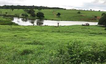 Imagem: 53 alqueires em trindade go